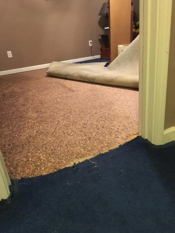 Carpet pad removal revealing water damage during Drying & Dehumidification in South Patrick Shores