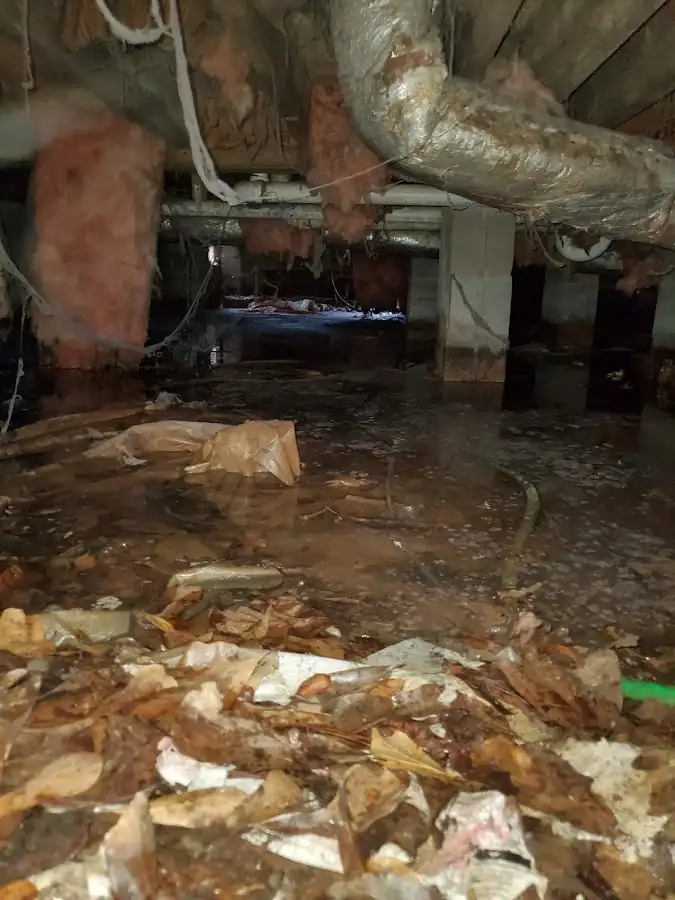 Crawl space flood assessment for Commercial Water Damage Restoration in South Patrick Shores